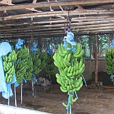 Costa Rica20150330-2140-0177